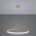 Thoro TH.181 - LED  Lustr na lanku RIO LED /50W/230V CRI 95 4000K pr. 78 cm zlatá